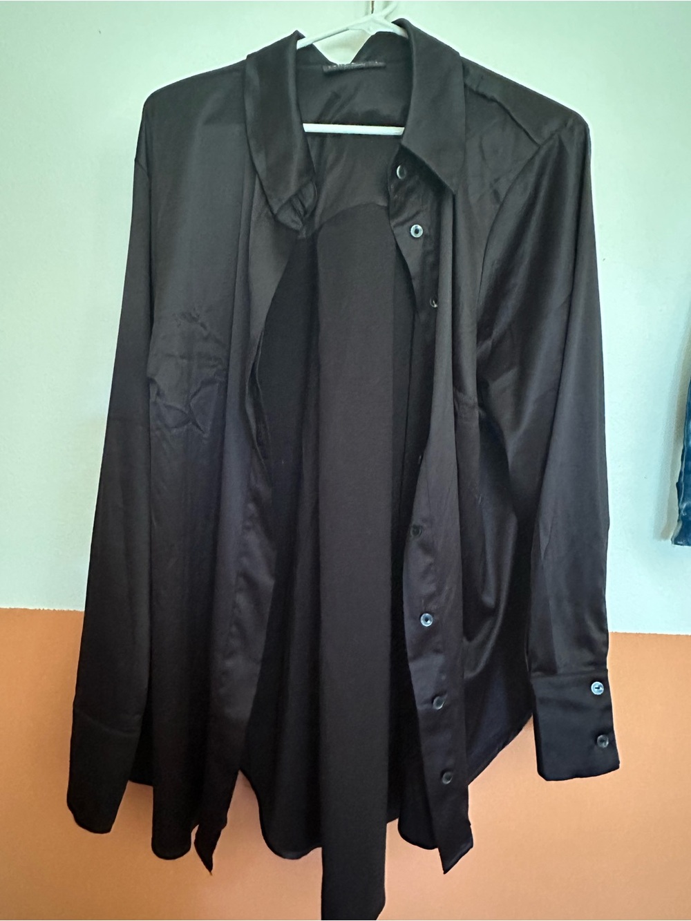 Lane Bryant silky button down